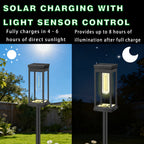 Solar Pathway Lights Outdoor LED Garden Stake Light with Automatic Charging Black Warm White Waterproof Ground Mount Landscape Lighting